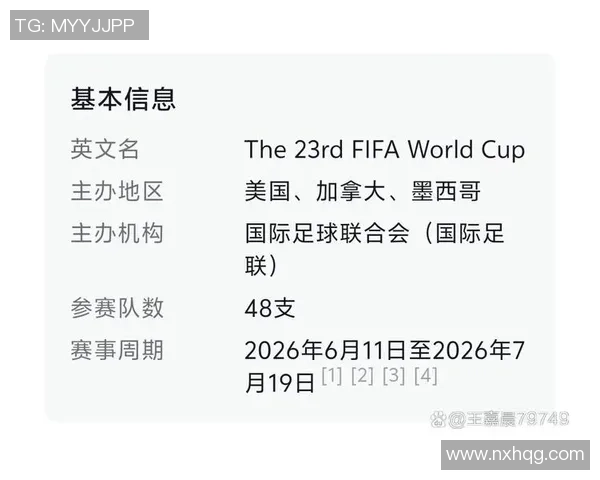 2026年美加墨世界杯筹备与影响分析 聚焦三国合作与赛事亮点