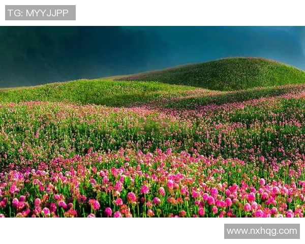 以花海王者为中心描绘浪漫奇幻世界的唯美视觉盛宴