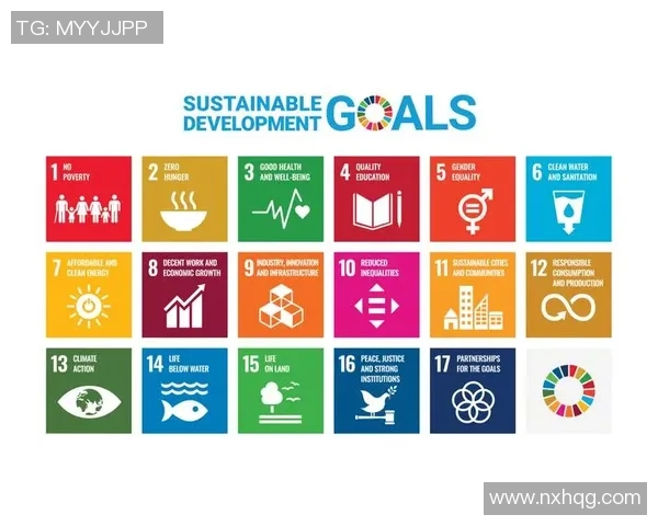 探讨现代足球俱乐部运营模式与青训体系深度融合可持续发展新路径