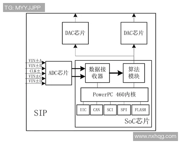RulerADC的创新技术如何推动数字信号处理领域的变革与发展 RulerADC的创新技术如何推动数字信号处理领域的变革与发展